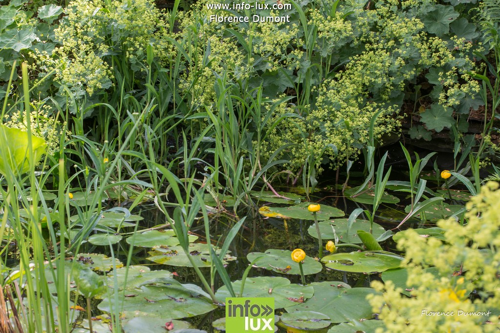 //media/jw_sigpro/users/0000001510/jardins ouverts suxy/Jardins ouvert-28